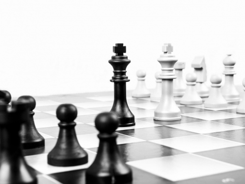 Schachbrett mit weißen und schwarzen Figuren. Die Könige stehen sich gegenüber